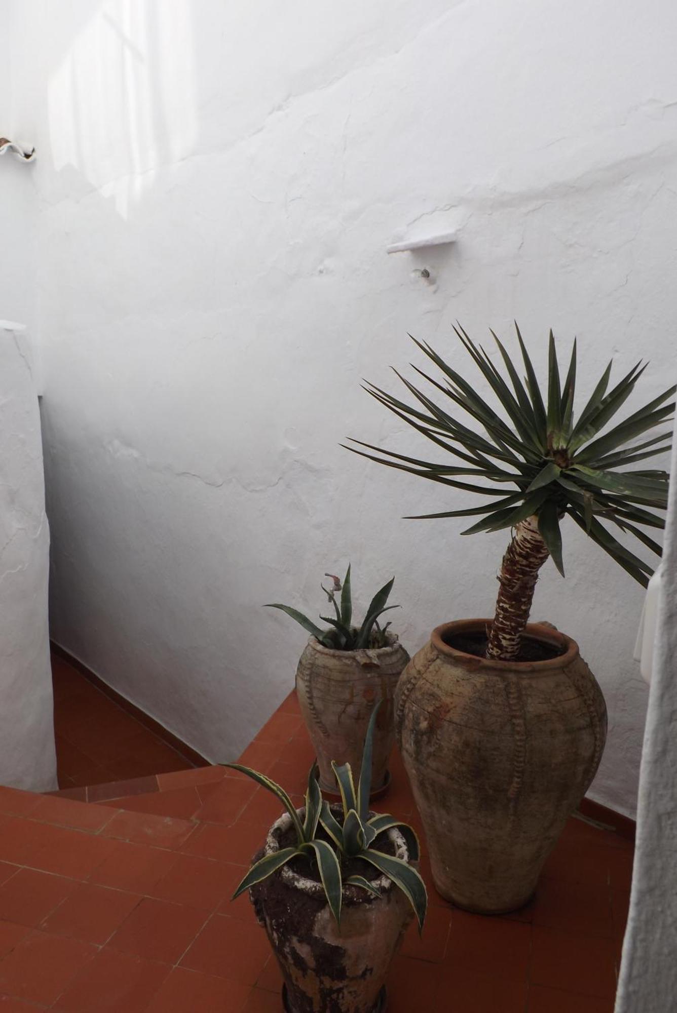 Casa Elvira Villa Competa Exterior photo